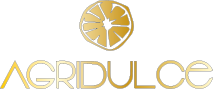 agridulceswimwear.com
